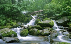 绿色风景图片 自然风光图片
