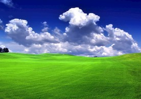 绿色风景图片 自然风光图片