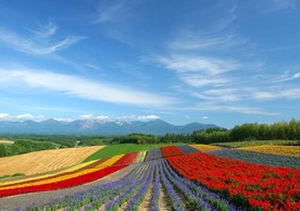 绿色风景图片 自然风光图片