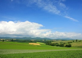 绿色风景图片 自然风光图片