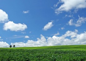 绿色风景图片 自然风光图片