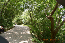 山中小道