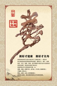 中医保养挂画