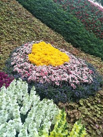 花卉造型