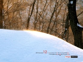 自然风光图片    高山森林