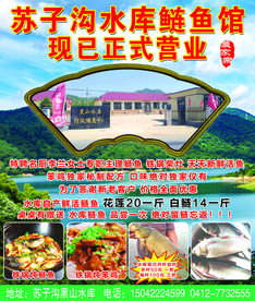 农家院 鲢鱼