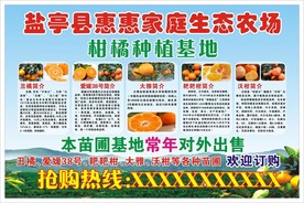生态元桔园种植基地 生态农场