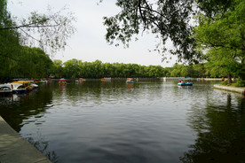沈阳北陵公园 湖
