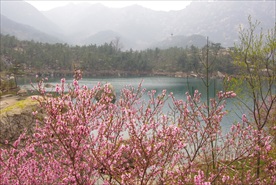崂山风景