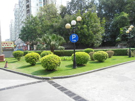 小区绿化