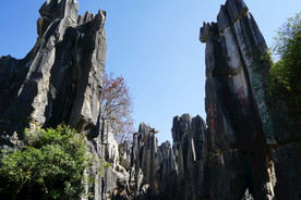 云南 石林 景色