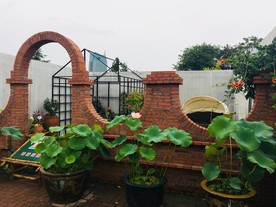 家庭庭院景致