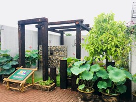 庭院