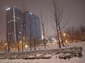 雪地