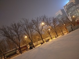 雪地