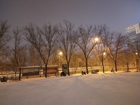 雪地
