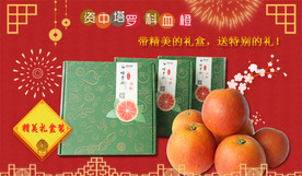 资中血橙banner图