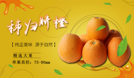 秭归脐橙banner图