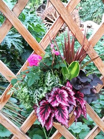 盆花