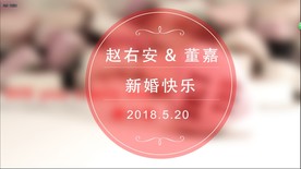 婚礼浪漫心形AE模板