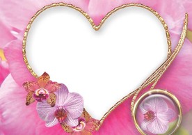 相册  相框  相片  图片