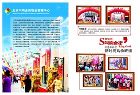 叫响金街宣传对折页