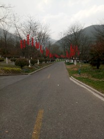宜兴园林