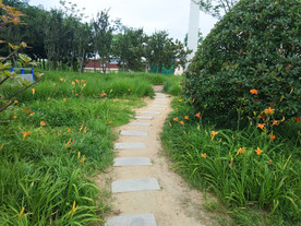 花园小径