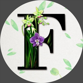 鲜花字母