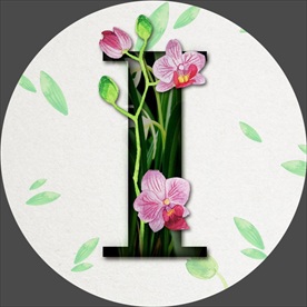 鲜花字母
