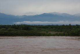 渭河风光