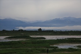 渭河风光