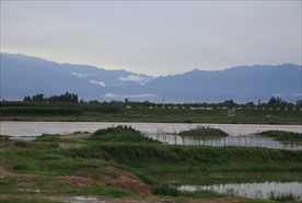 渭河风光