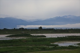 渭河风光
