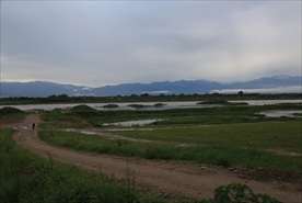 渭河风光