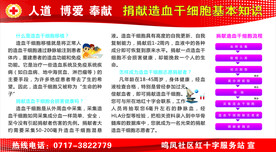 红十字会  捐献造血干细胞