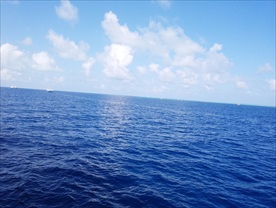 海
