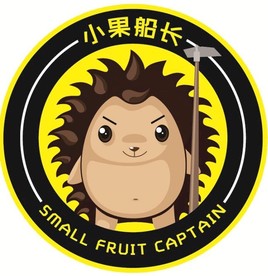 LOGO小果船长