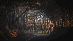 穿越丛林的公路