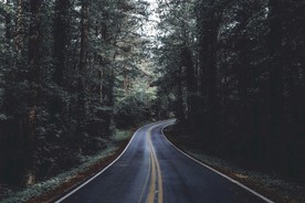 穿越丛林的公路