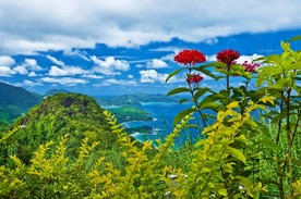 美景
