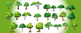 树素材