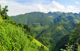 绿色大山背景