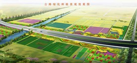 公路两侧草药种植和绿化效果图