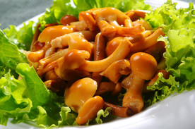滑子菇