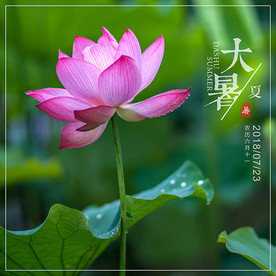 大暑