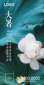 大暑微信图