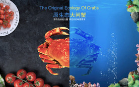 大闸蟹