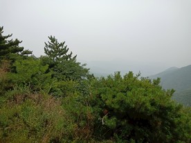 翠枫山
