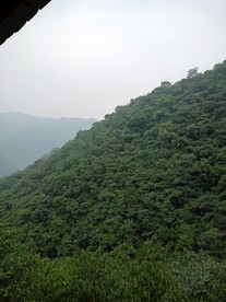 翠枫山